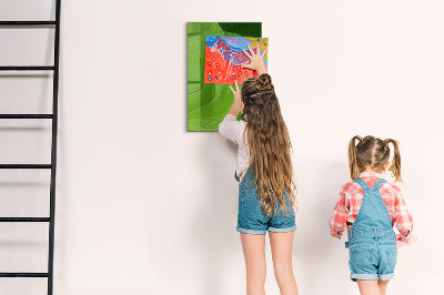 Popisovatelná magnetická tabule Zelená tabule na fotografie a poznámky