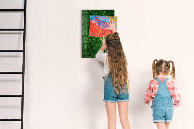 Magnetická psací tabule Zelená nástěnka s fotografiemi