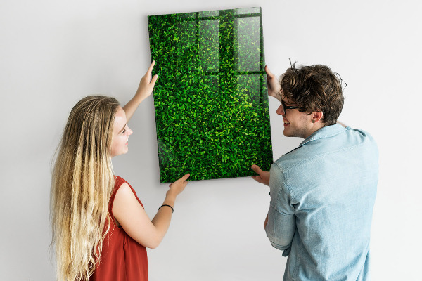 Magnetická psací tabule Zelená nástěnka s fotografiemi