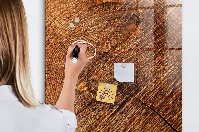 Popisovatelná magnetická tabule Nástěnka s magnety a fotografiemi