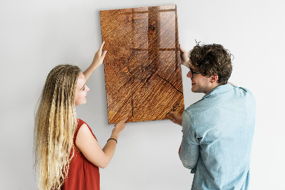Popisovatelná magnetická tabule Nástěnka s magnety a fotografiemi