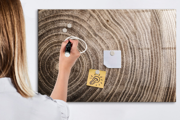Magnetická psací tabule Nástěnka s magnety a fotografiemi
