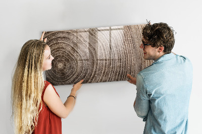 Magnetická psací tabule Nástěnka s magnety a fotografiemi