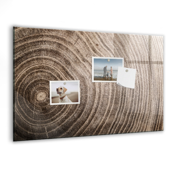 Magnetická psací tabule Nástěnka s magnety a fotografiemi