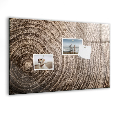 Magnetická psací tabule Nástěnka s magnety a fotografiemi