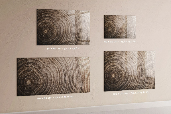 Magnetická psací tabule Nástěnka s magnety a fotografiemi