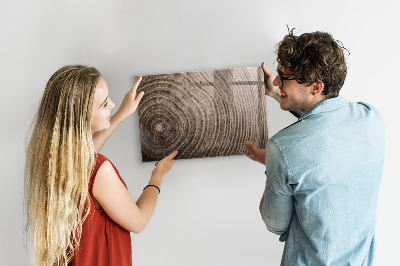 Magnetická psací tabule Nástěnka s magnety a fotografiemi