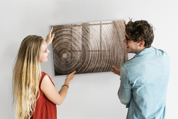 Magnetická psací tabule Nástěnka s magnety a fotografiemi