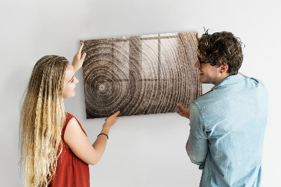 Magnetická psací tabule Nástěnka s magnety a fotografiemi