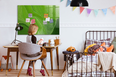 Popisovatelná magnetická tabule Zelená nástěnka s fotografiemi