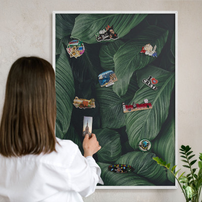 Kovové tabule na magnety bílý rám Zeleň přírody