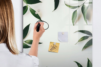 Popisovatelná magnetická tabule Zelená tabule na fotografie a poznámky