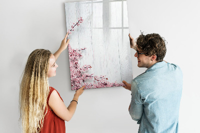 Magnetická psací tabule Kreativní prostor pro fotografie a poznámky