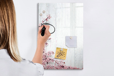 Magnetická psací tabule Kreativní prostor pro fotografie a poznámky