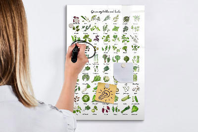 Popisovatelná magnetická tabule Zelená zelenina a bylinky v grafice