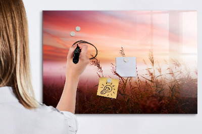 Popisovatelná magnetická tabule Kreativní prostor pro prezentaci fotografií
