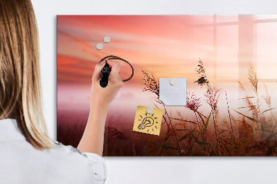 Popisovatelná magnetická tabule Kreativní prostor pro prezentaci fotografií