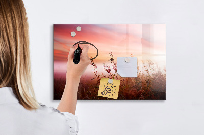 Popisovatelná magnetická tabule Kreativní prostor pro prezentaci fotografií