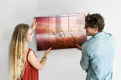 Popisovatelná magnetická tabule Kreativní prostor pro prezentaci fotografií