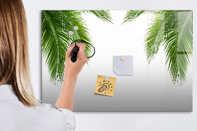 Magnetická psací tabule Fototapeta s motivem palmy