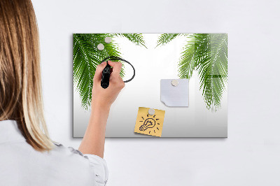 Magnetická psací tabule Fototapeta s motivem palmy