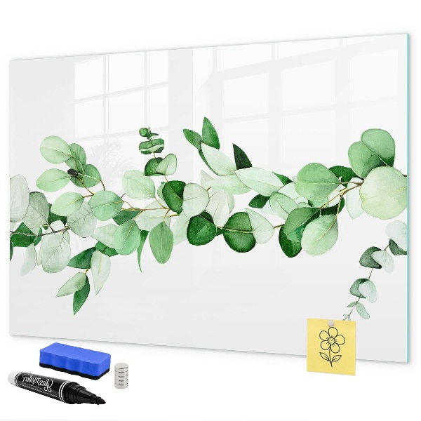 Magnetická psací tabule Zelená tabule na fotografie a poznámky