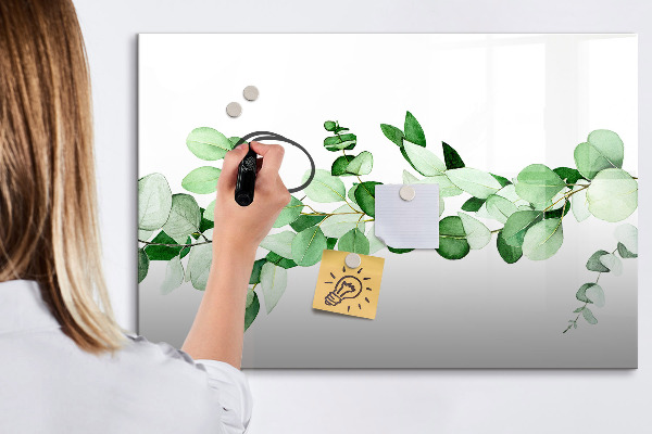 Magnetická psací tabule Zelená tabule na fotografie a poznámky
