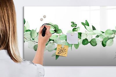 Magnetická psací tabule Zelená tabule na fotografie a poznámky