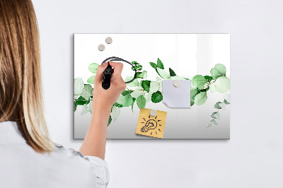 Magnetická psací tabule Zelená tabule na fotografie a poznámky
