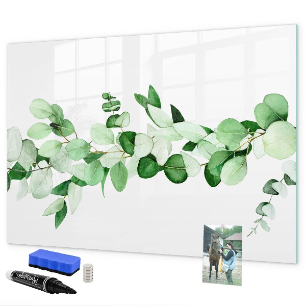 Magnetická psací tabule Zelená tabule na fotografie a poznámky