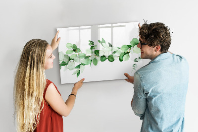 Magnetická psací tabule Zelená tabule na fotografie a poznámky