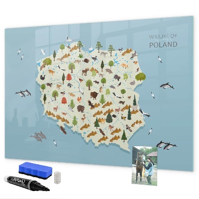 Popisovatelná magnetická tabule Mapa přírody Polska s místy pro fotografie