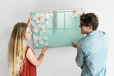 Magnetická psací tabule Kreativní nástěnka pro vystavení fotografií