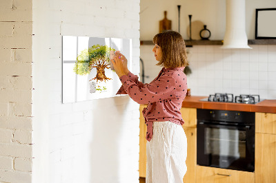Popisovatelná magnetická tabule Rodokmen s prostorem pro fotografie