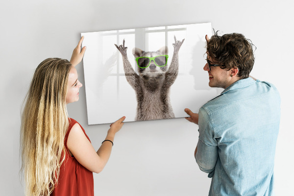 Magnetická psací tabule Šťastný mýval s obrázky