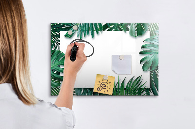 Popisovatelná magnetická tabule Zelená tabule na fotografie a poznámky