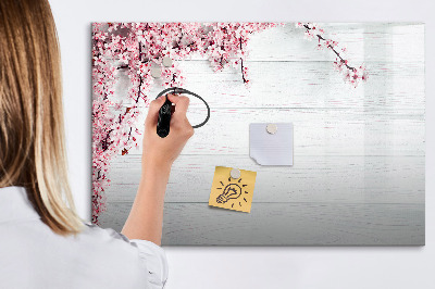 Magnetická psací tabule Kreativní prostor pro prezentaci fotografií