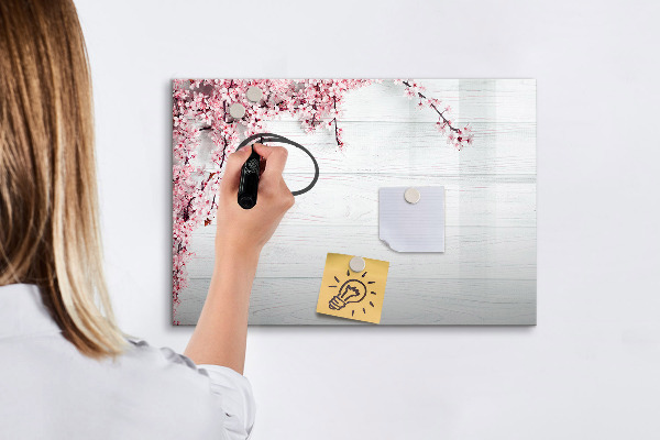 Magnetická psací tabule Kreativní prostor pro prezentaci fotografií