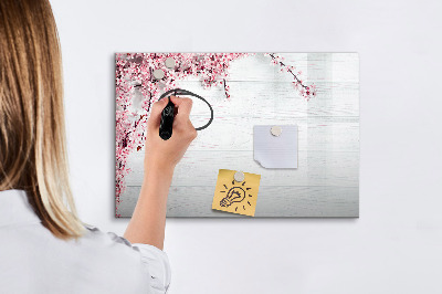Magnetická psací tabule Kreativní prostor pro prezentaci fotografií