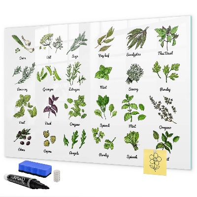 Magnetická psací tabule Bylinky a fotografie na jednom místě