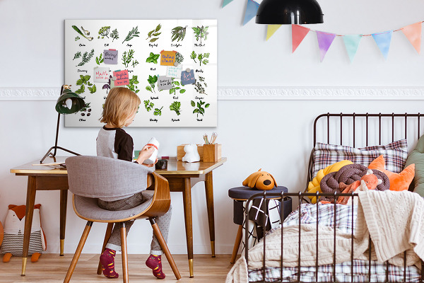 Magnetická psací tabule Bylinky a fotografie na jednom místě