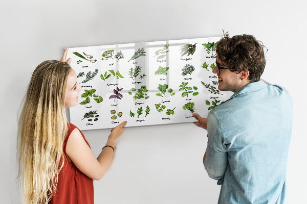 Magnetická psací tabule Bylinky a fotografie na jednom místě