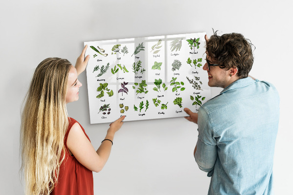 Magnetická psací tabule Bylinky a fotografie na jednom místě