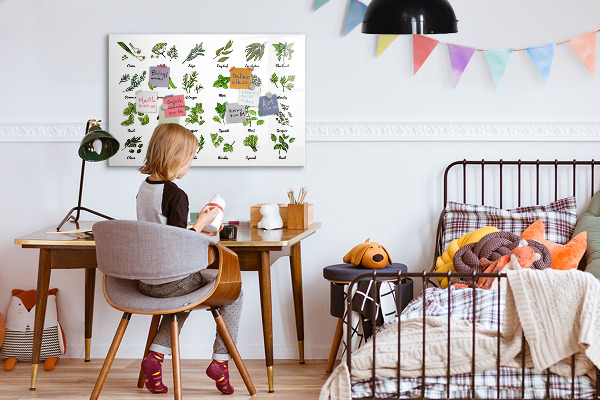 Magnetická psací tabule Bylinky a fotografie na jednom místě