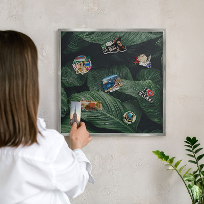Tabule na magnety na zeď stříbrný rám Zeleň přírody