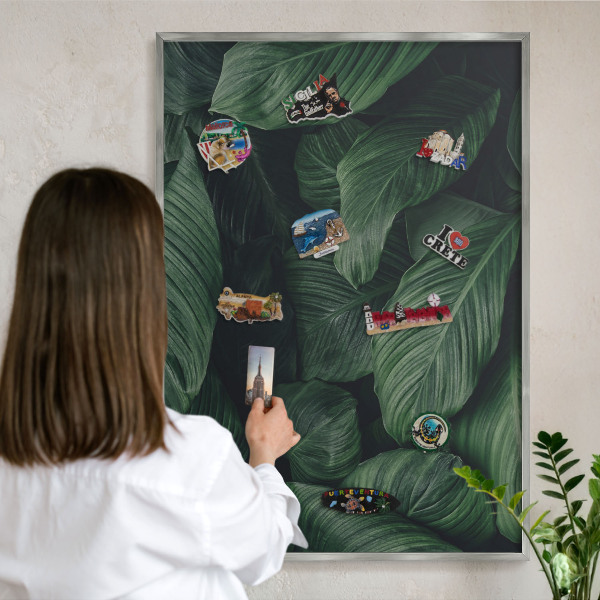 Tabule na magnety na zeď stříbrný rám Zeleň přírody