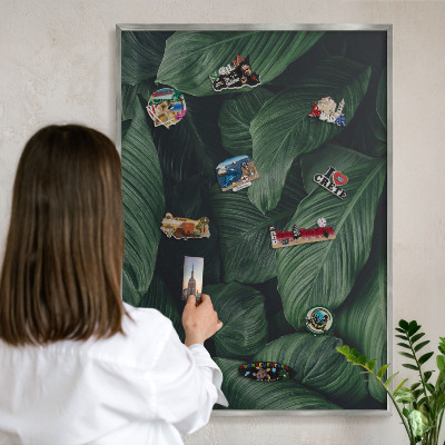 Tabule na magnety na zeď stříbrný rám Zeleň přírody