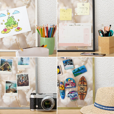 Tabule na magnety na zeď stříbrný rám Béžové květy