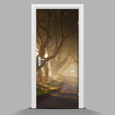 Samolepící nálepka na dveře Velké stromy