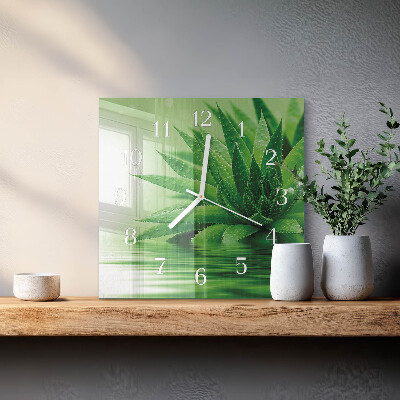 Skleněné hodiny Aloe